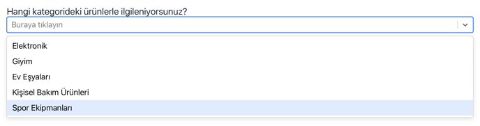 Ekran Resmi 2024-07-25 11.03.24