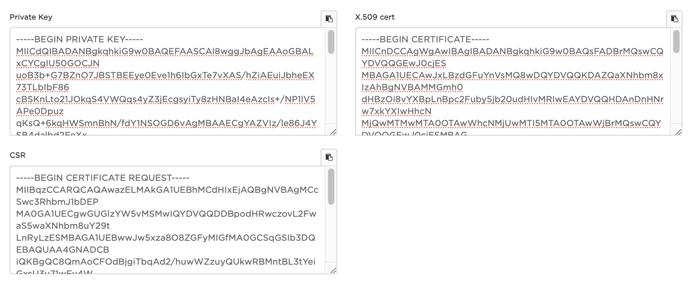 image-20240130-110140