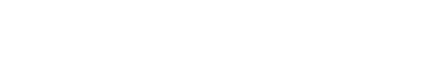Pisano_Academy_logo_full_white