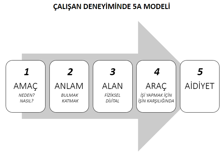 calisan_deneyiminde_5a_modeli